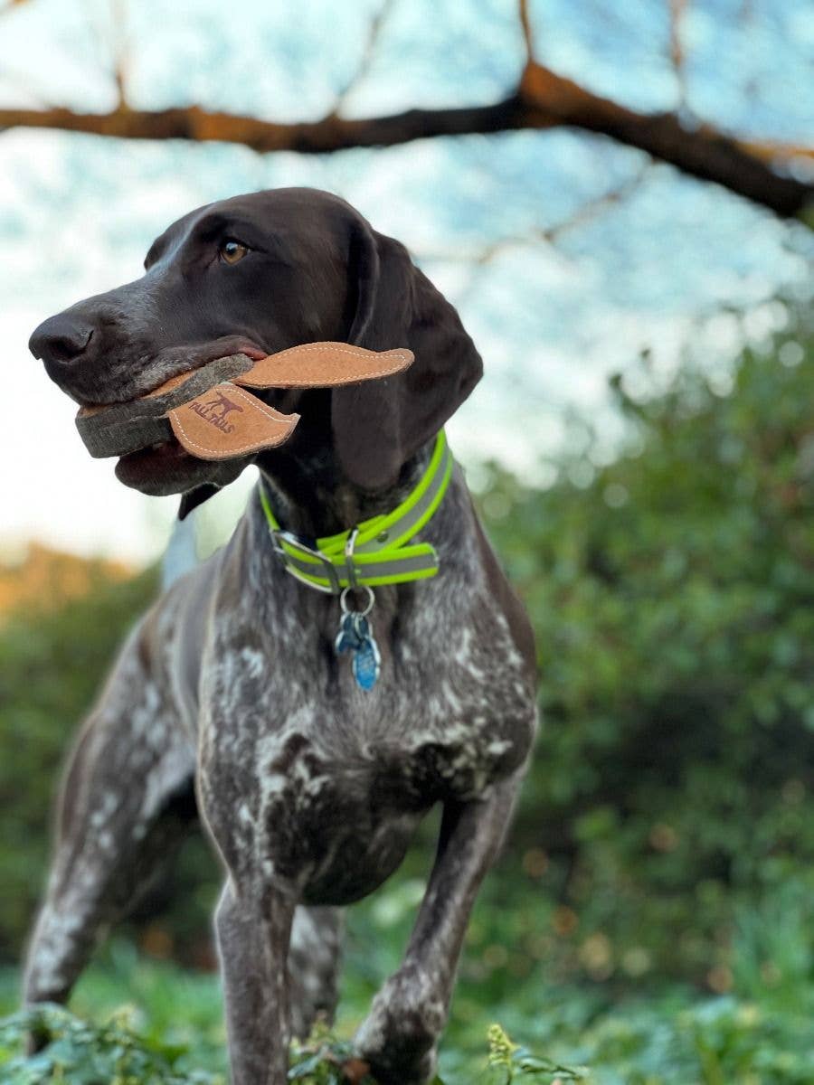 Tall Tails - Tall Tails Natural Leather & Wool Rabbit Toy - 4"