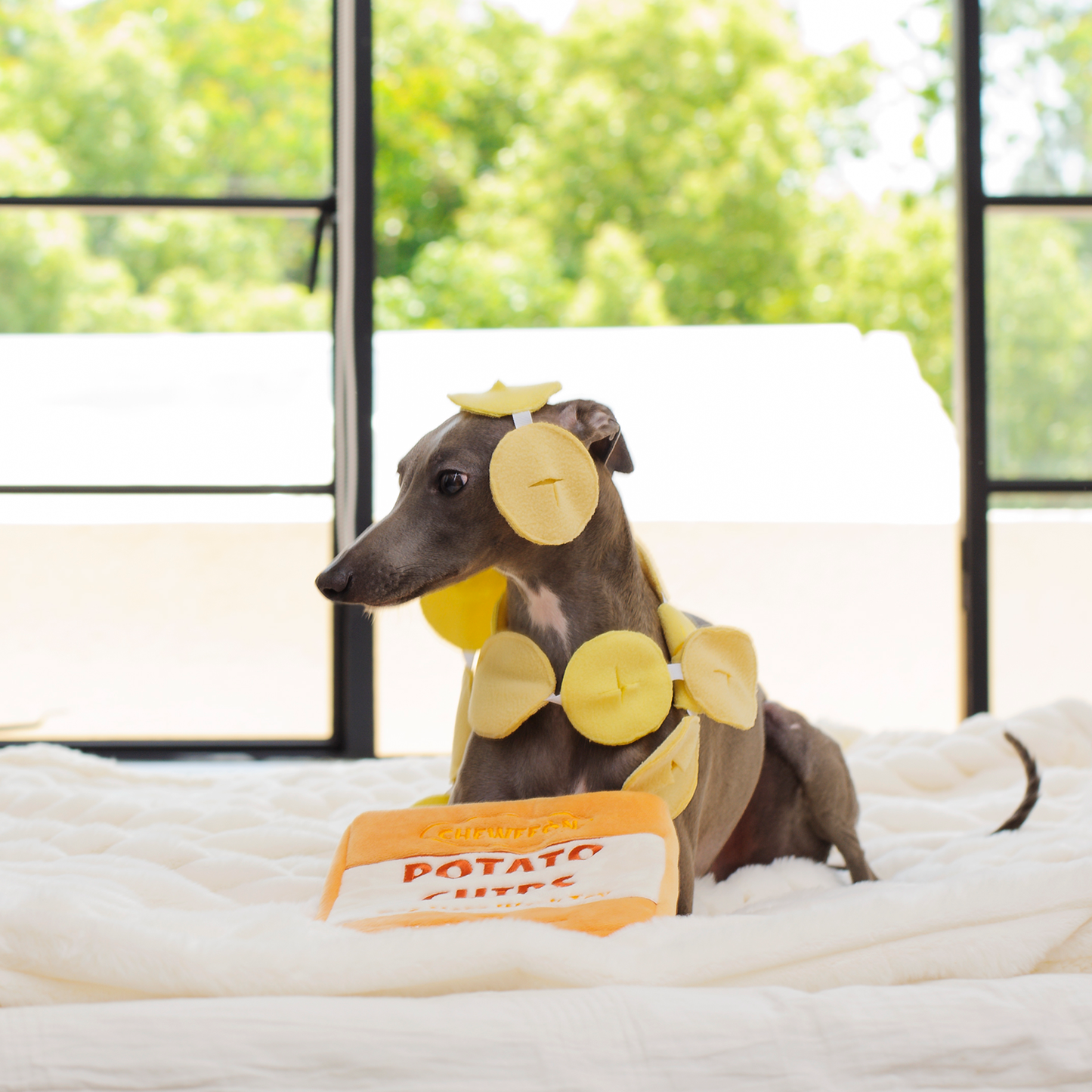 CHEWFFON - CHEWFFON Rustle Potato Chips Dog Snuffle Toy - Doot's Pet LLC Collars For A Cause