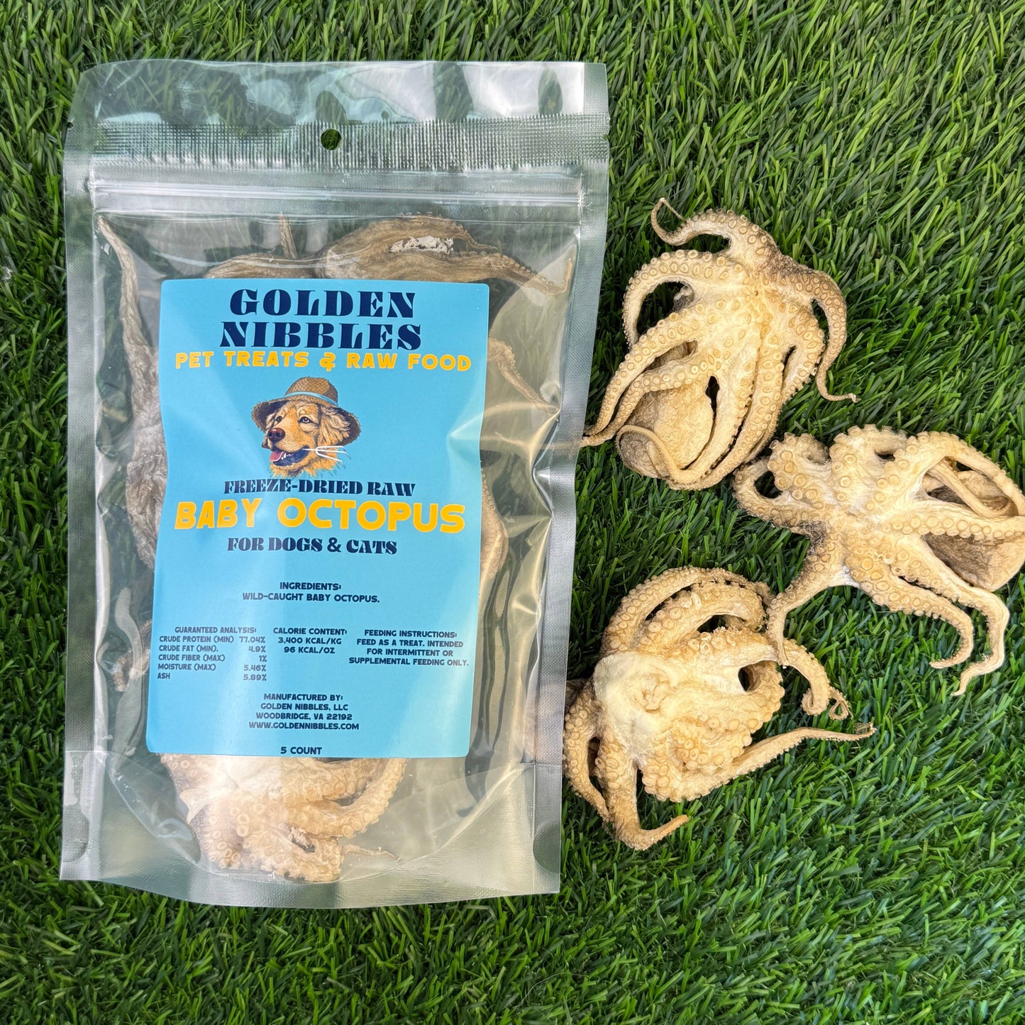 Doot's Chew Bar- Golden Nibbles - Baby Octopus - Single Piece Freeze Dried Treats for Dogs & Cat