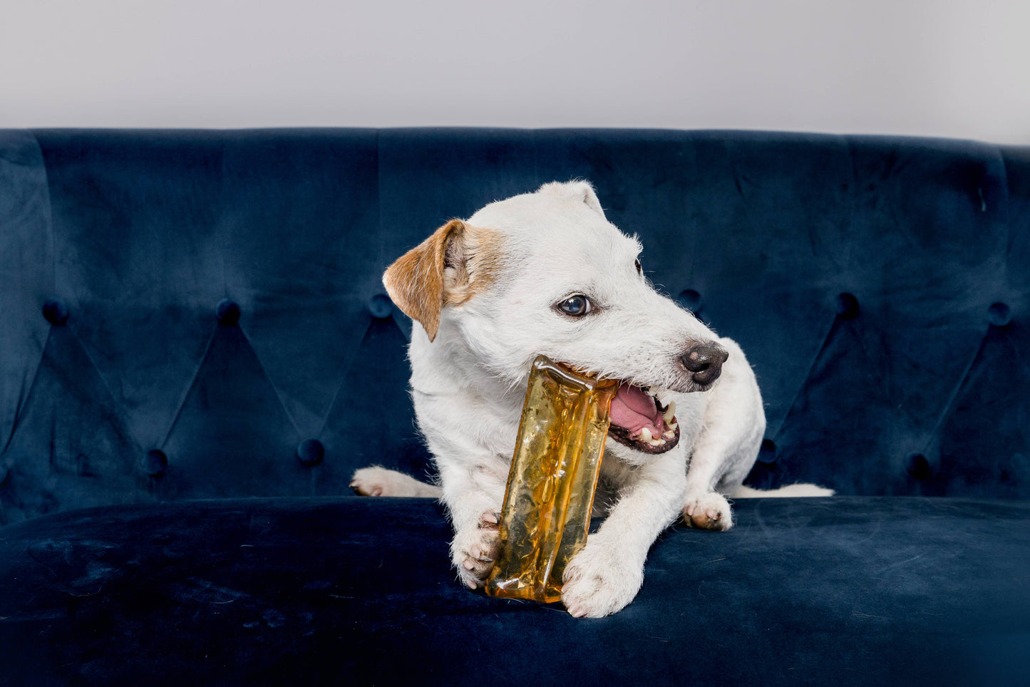 Doots Chew Bar - Wag & Bright Supply Co. - Mighty Marrows Collagen Dental Chew - Spirulina Beef - 2 sizes - Doot's Pet LLC Collars For A Cause