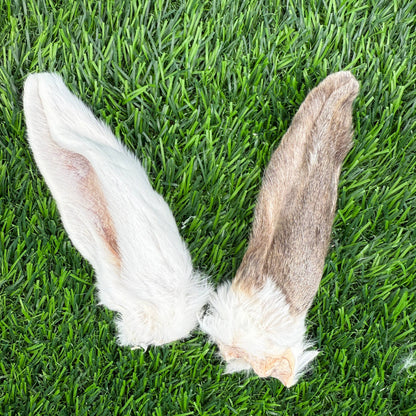 Doot's Chew Bar - Golden Nibbles - Rabbit Ear - Freeze-Dried Treat/Chew for Dogs & Cats