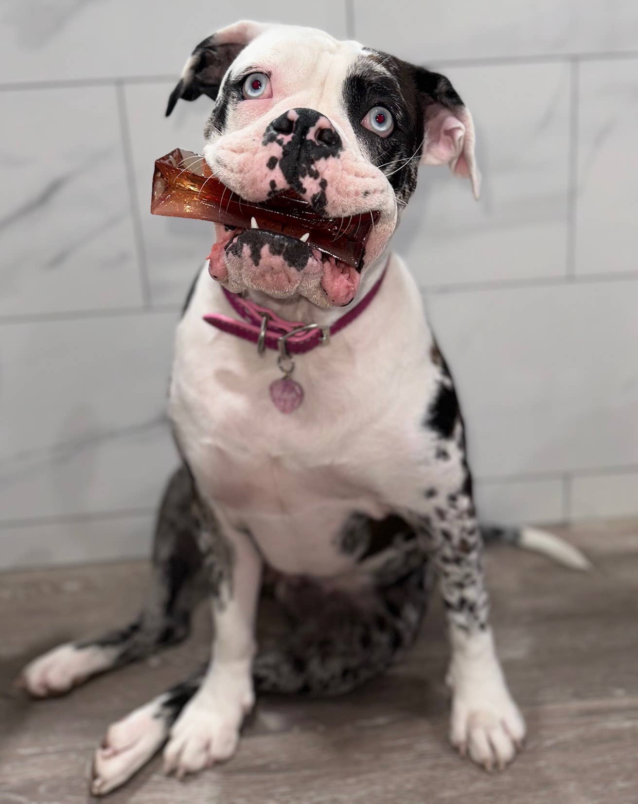 Wag & Bright Supply Co. - Mighty Marrows Collagen Dental Chew - Bacon