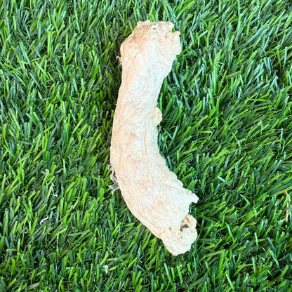 Doot's Chew Bar - Golden Nibbles - Chicken Neck - Freeze-Dried Treat for Dogs & Cats