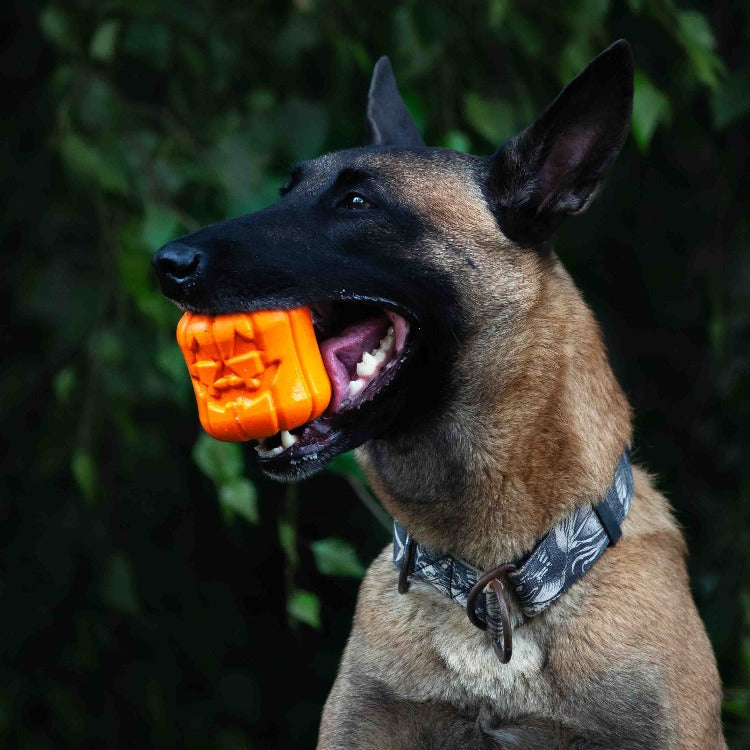 Jack O' Lantern eDispener Durable Rubber Chew Toy & Treat Dispenser - Doot's Pet LLC Collars For A Cause