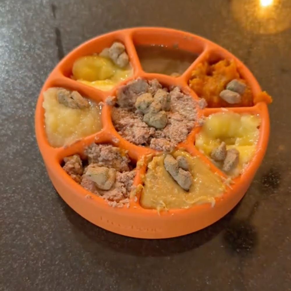 FreezWheel - Durable Interactive Chew - Doot's Pet LLC Collars For A Cause