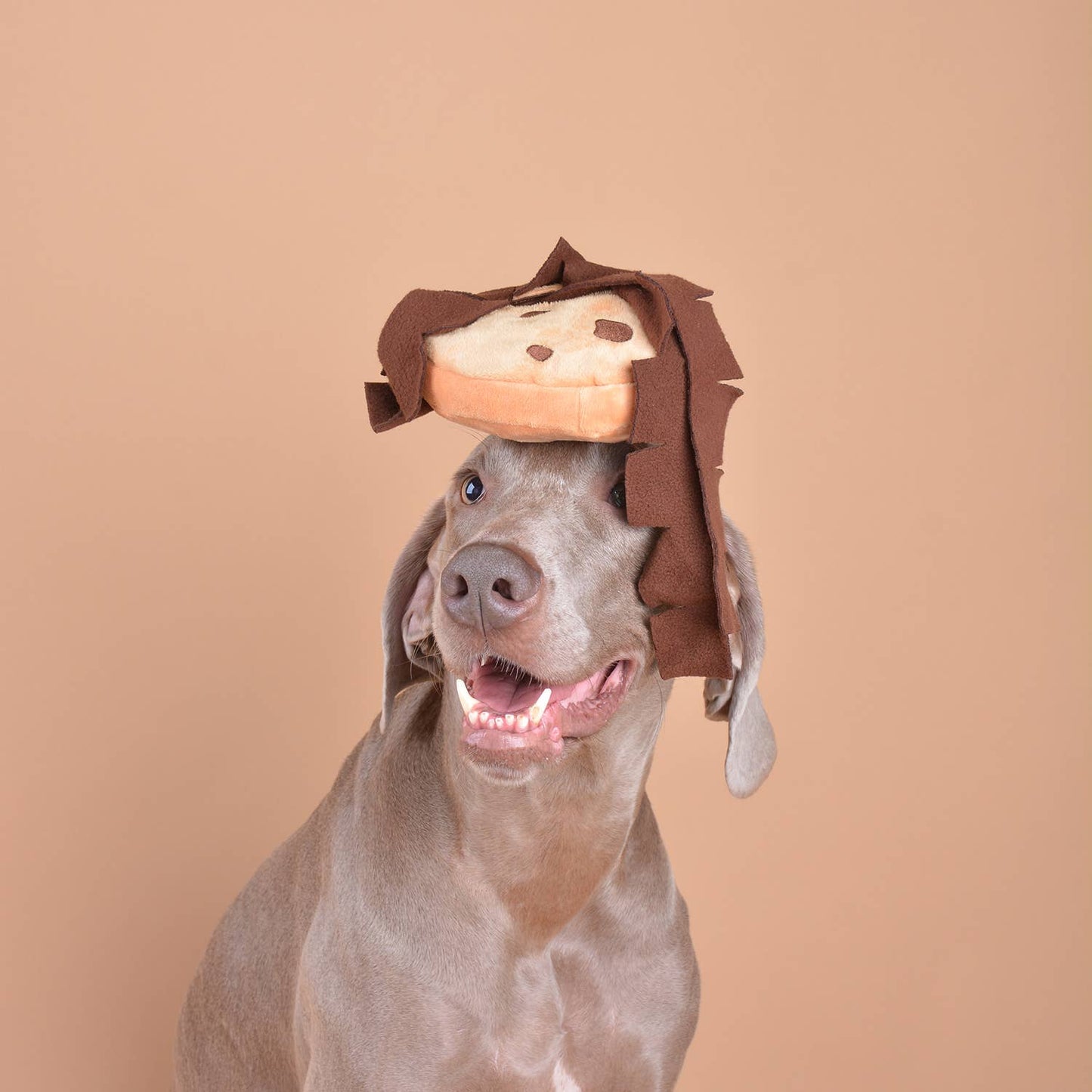 CHEWFFON - CHEWFFON Holiday Cookie Snuffle Soft Puzzle Treat Dog Toy