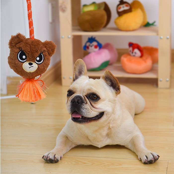 Hugsmart Products Inc - HugSmart Pet - Fluffy Tuggerz | Teddy Bear - Dog Rope Toy