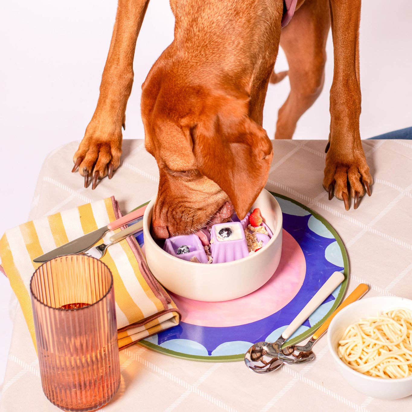 Awoo - Snackaroni Slow Feeder Insert & Lick Mat