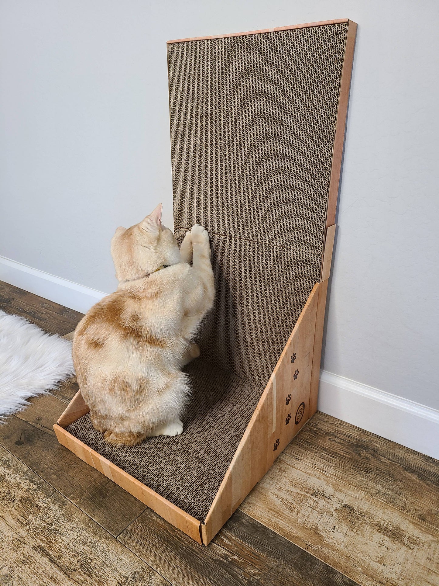 MOON-X USA, INC. - Stretch & Scratch Wall Cat Scratcher