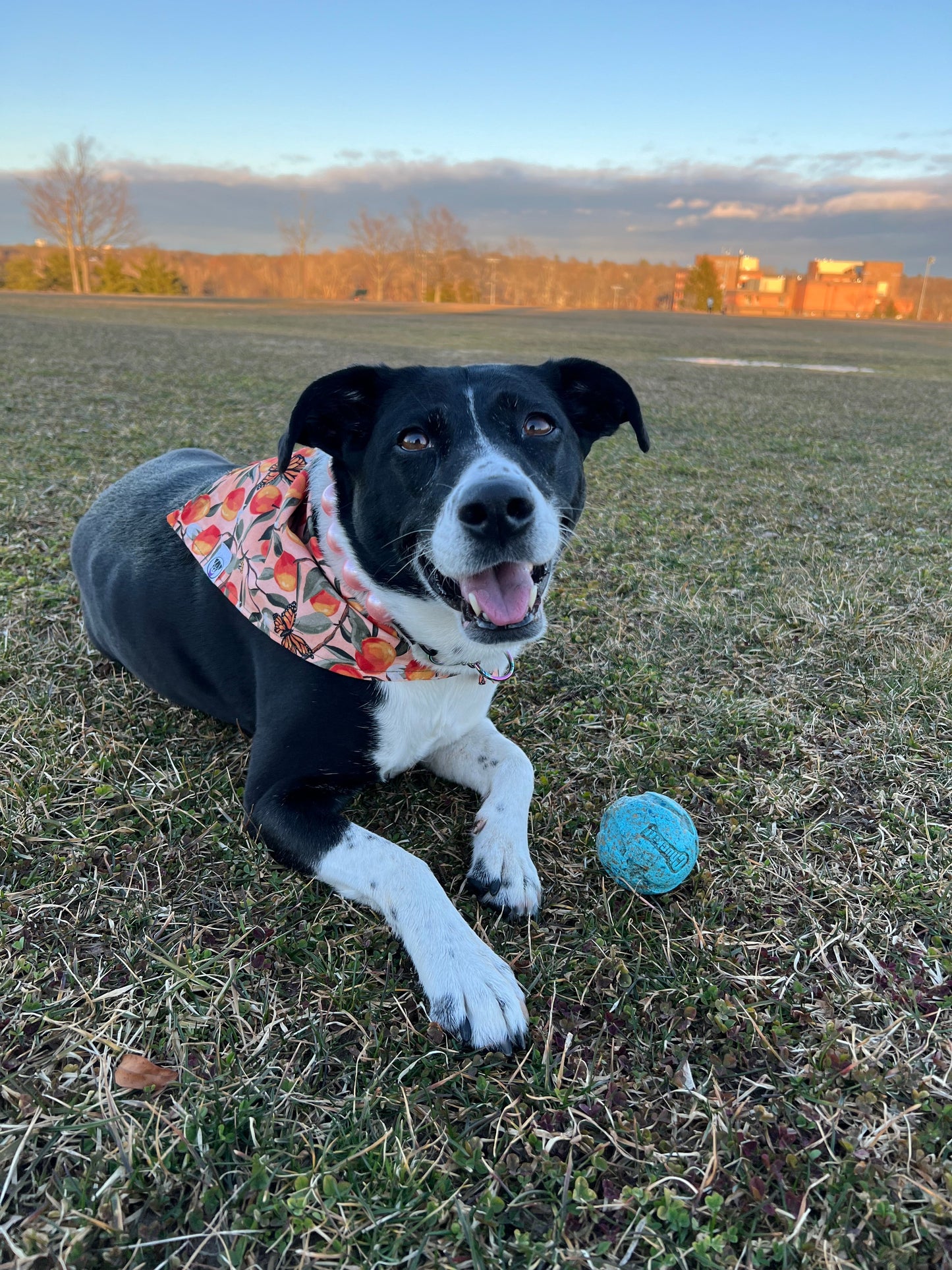 Peaches Bandana