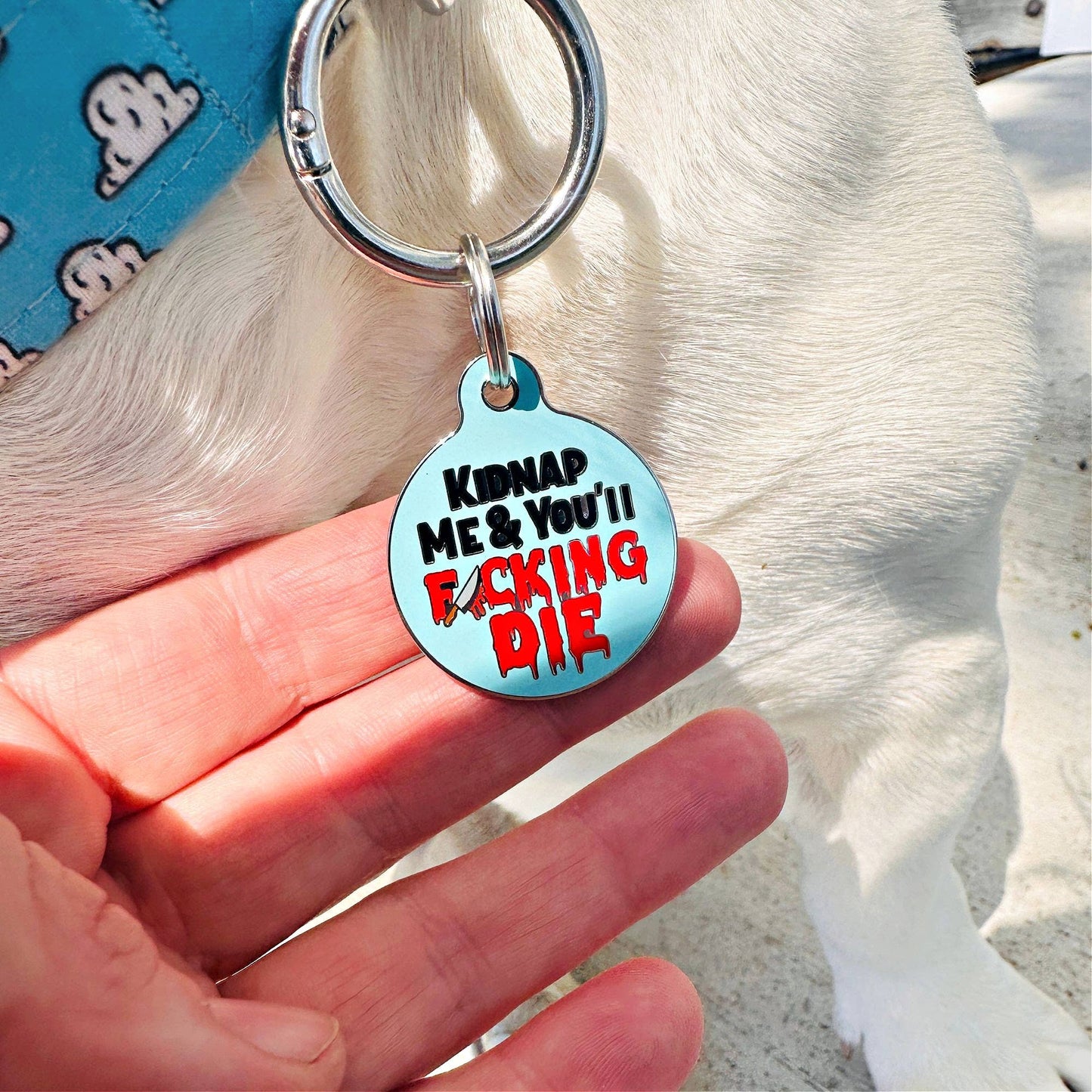 Bad Tags - Dog ID Tag with Personalized QR Code - Kidnap Me & You Die - Engraved QR Code / Small 1"