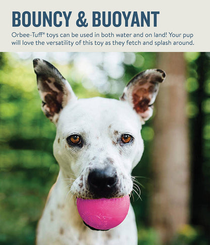 Planet Dog Orbee-Tuff Squeak Ball Dog Toy Pink