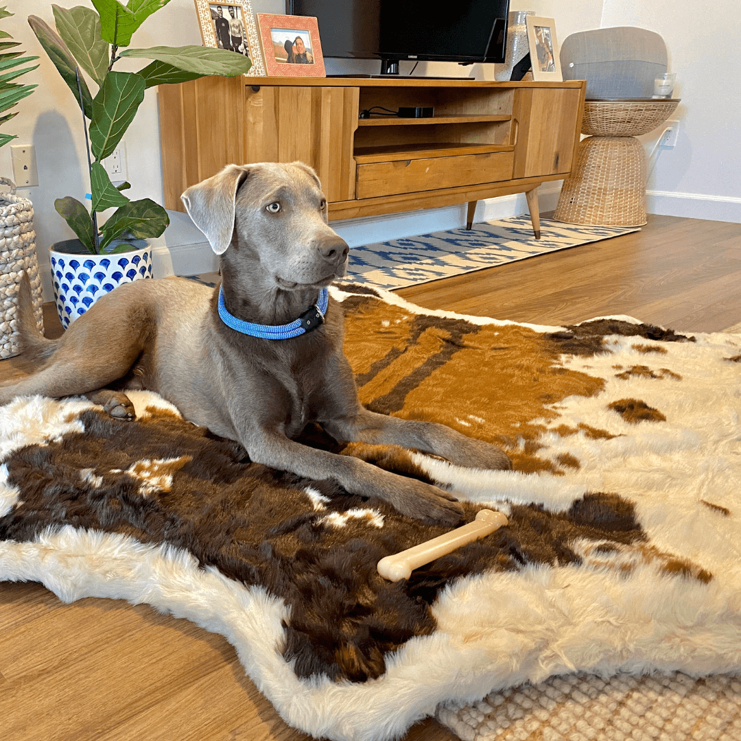 PupRug® Animal Print Memory Foam Dog Bed - Brown Faux Cowhide - Doot's Pet LLC Collars For A Cause