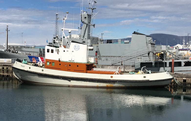 Icelandic+ - Cod & Herring Combo Bites Fish Dog Treats
