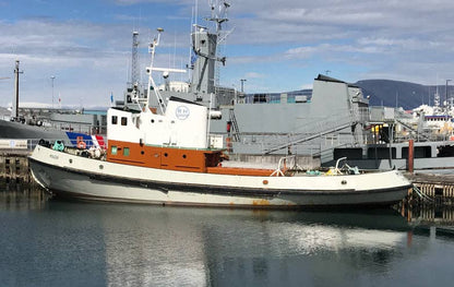 Icelandic+ - Cod & Herring Combo Bites Fish Dog Treats