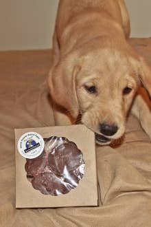 Paw Street Barkery - Single Carob Peanut Butter Cup