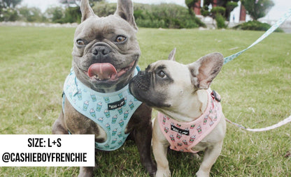 Mina + Pup - Pink Pupshake Adjustable Dog or Cat Harness