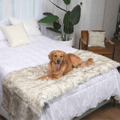 PupProtector™ Waterproof Bed Runner - White with Brown Accents - Doot's Pet LLC Collars For A Cause