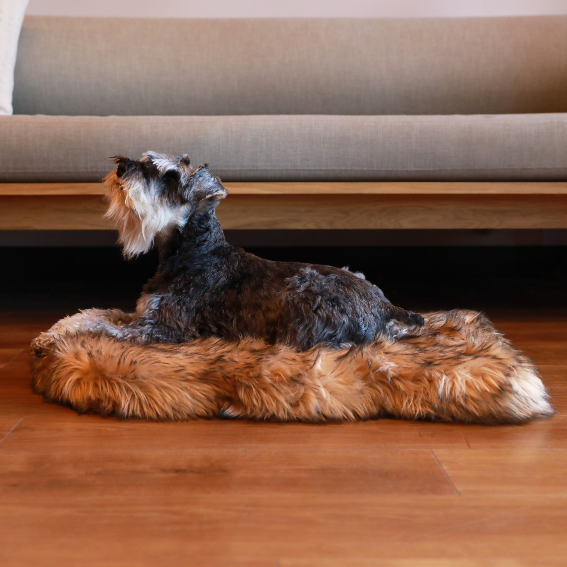 PupRug by Paw.com® Faux Fur Orthopedic Dog Bed - Curve Sable Tan - Doot's Pet LLC Collars For A Cause