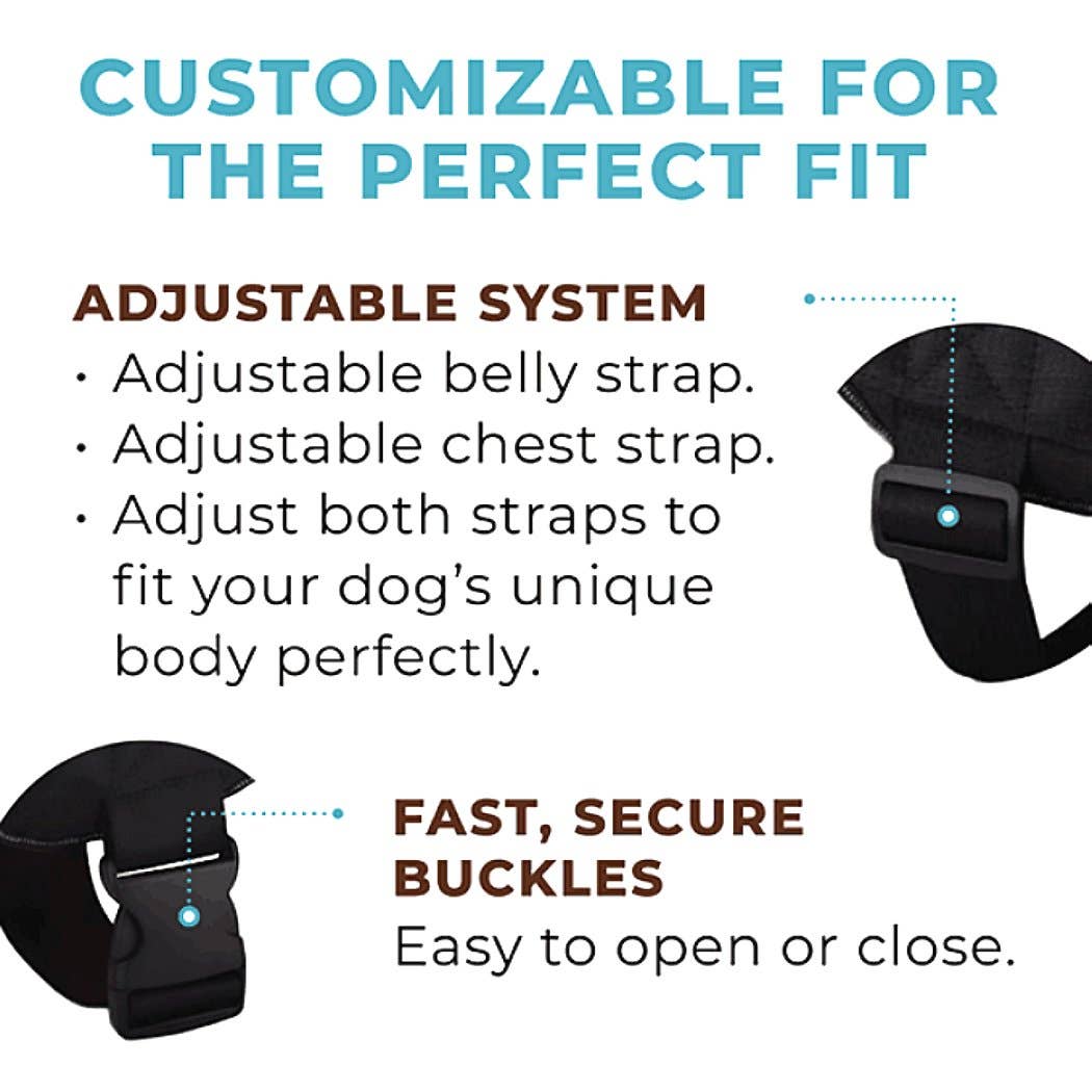 Joyride Harness - Tie Dye Joyride Basic Essential Dog Harness 1.0 - XL