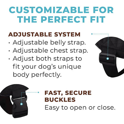 Joyride Harness - Winter Snowman Joyride Basic Essential Dog Harness 1.0 LG, XL
