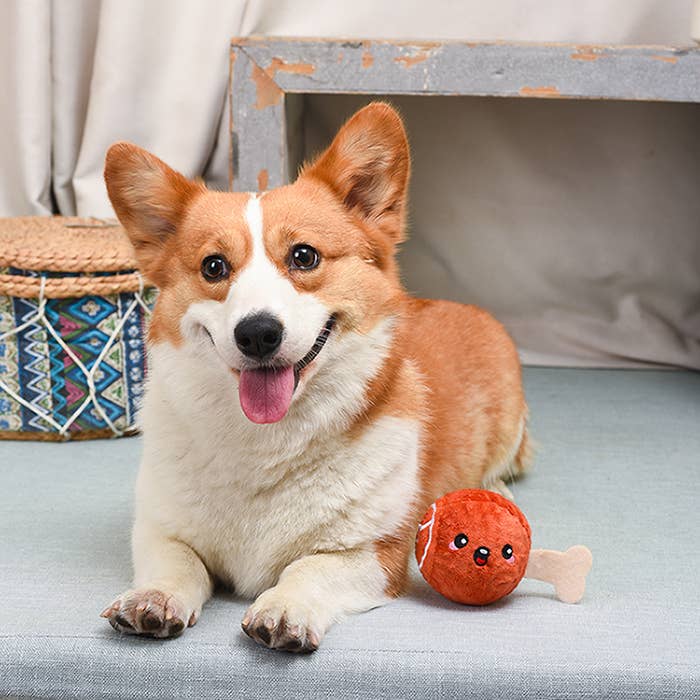 Hugsmart Products Inc - HugSmart Pet - Food Party | Ham - Dog Ball Toy