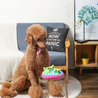 Hugsmart Products Inc - HugSmart Pet - Space Paws | Aliens - Interactive Toy
