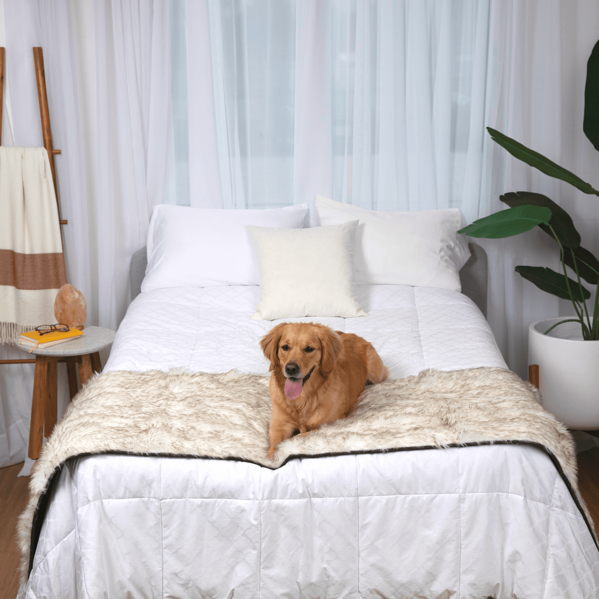 PupProtector™ Waterproof Bed Runner - White with Brown Accents - Doot's Pet LLC Collars For A Cause