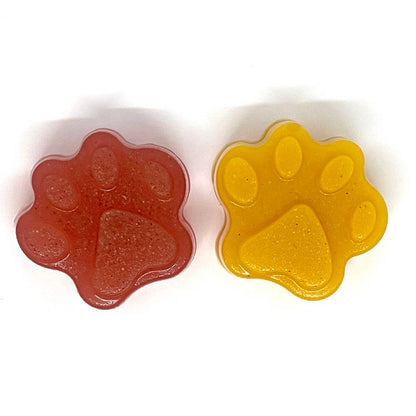 SodaPup Dog Toys - Dogtastic Jelly Shots Silicone Mold - Paw Shape - Doot's Pet LLC Collars For A Cause