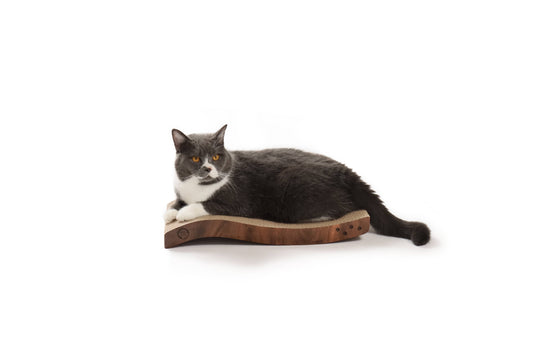 MOON-X USA, INC. - Ripple Reversible Scratcher (Dark Cherry)