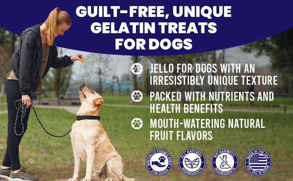 SodaPup Dog Toys - Dogtastic Jelly Shots Silicone Mold - Paw Shape - Doot's Pet LLC Collars For A Cause