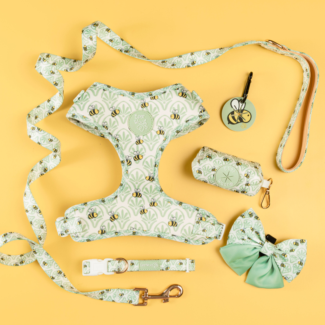 Little Honey Adjustable Harness