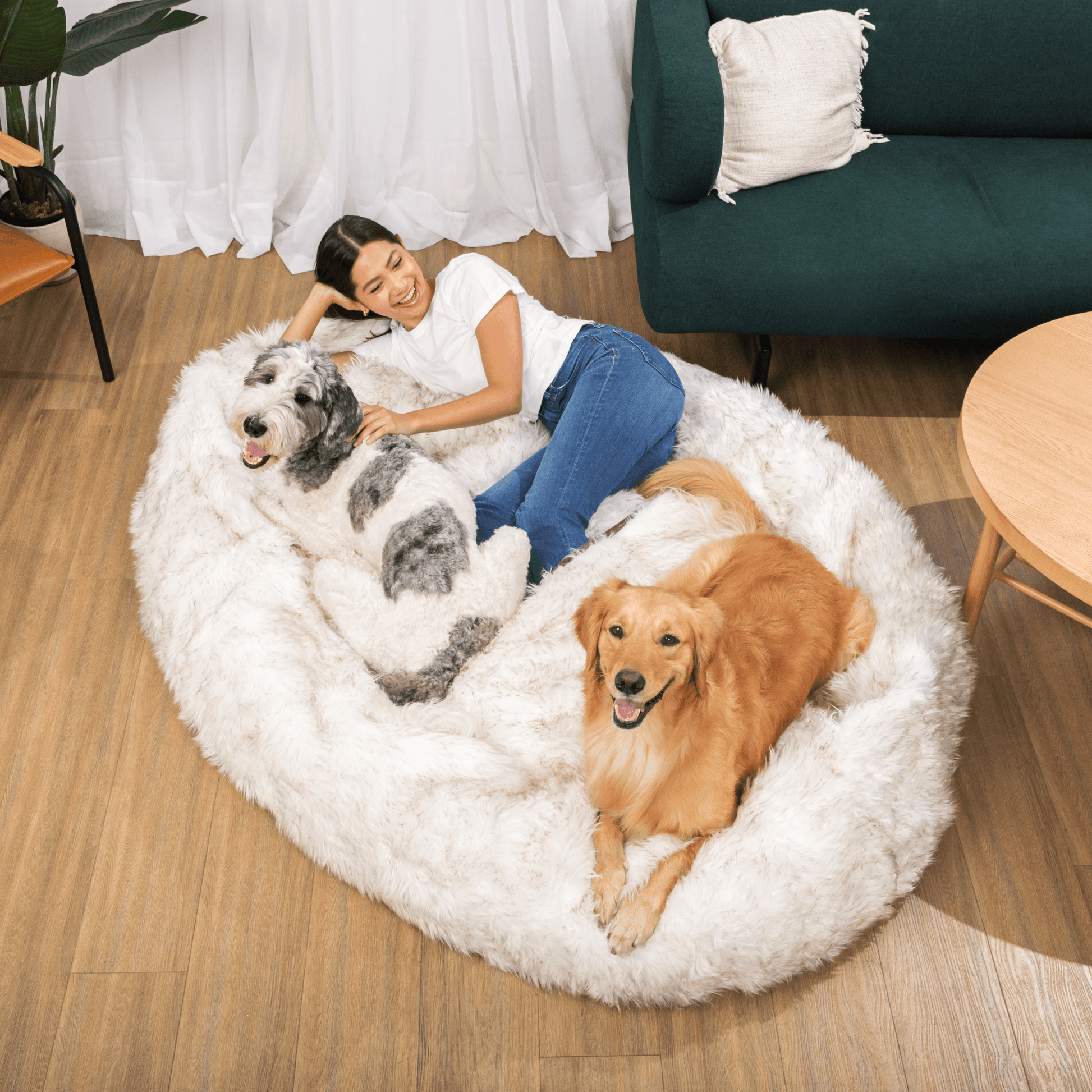 PupCloud™ Human-Size Faux Fur Memory Foam Dog Bed - White with Brown Accents - Doot's Pet LLC Collars For A Cause