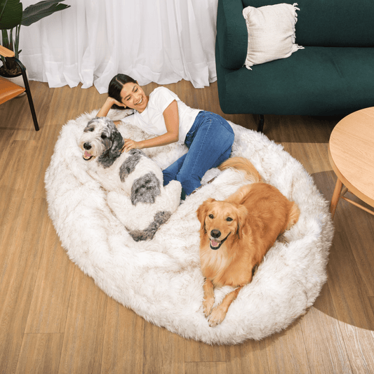 PupCloud™ Human-Size Faux Fur Memory Foam Dog Bed - White with Brown Accents - Doot's Pet LLC Collars For A Cause