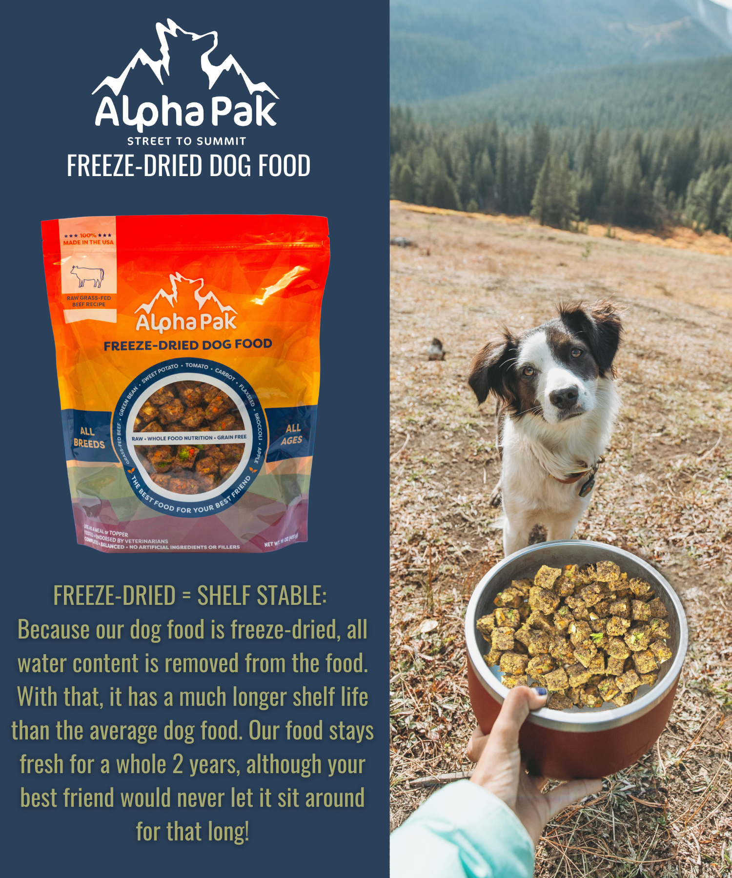 PREMIUM RAW FREEZE DRIED DOG FOOD BEEF - Doot's Pet LLC Collars For A Cause