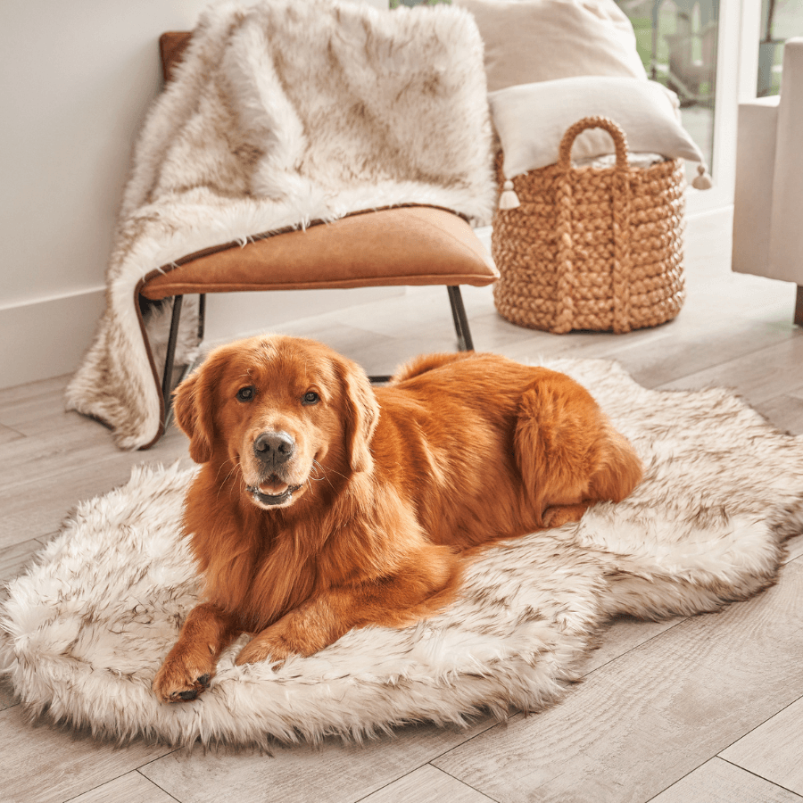 PupRug by Paw.com® Faux Fur Orthopedic Dog Bed - Curve White with Brown Accents - Doot's Pet LLC Collars For A Cause