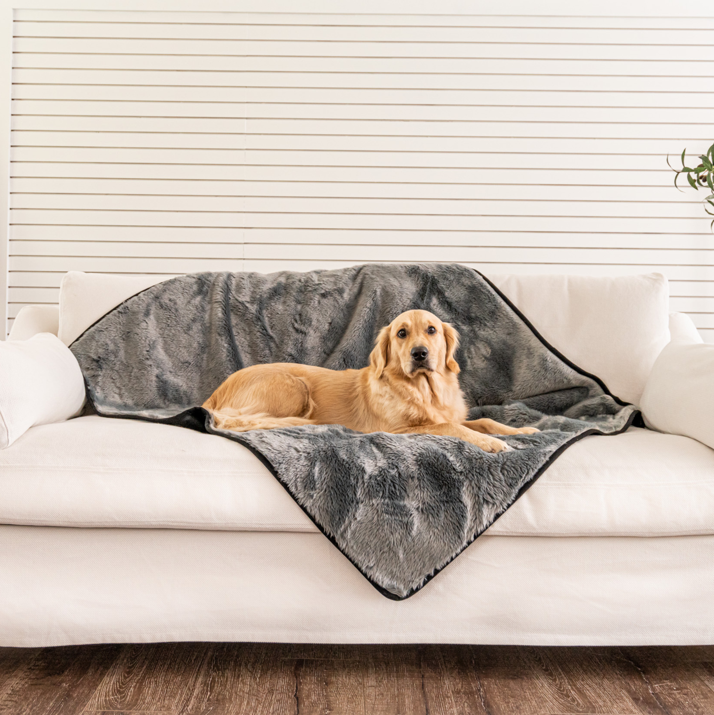 PupProtector™ Short Fur Waterproof Throw Blanket - Charcoal Grey - Doot's Pet LLC Collars For A Cause