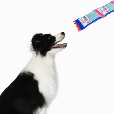 Hugsmart Products Inc - HugSmart Pet - Super Firehose | Gummy Bear - Dog Tough Toy