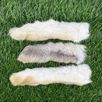 Doot's Chew Bar - Golden Nibbles - Rabbit Foot - Freeze-Dried Treat/Chew for Dogs