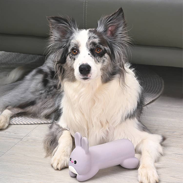 Hugsmart Products Inc - HugSmart Pet - Hoppin' Easter | Hoppy Bunny - Dog Plush Toy