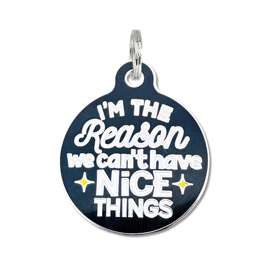 Bad Tags - Personalized Dog ID Tag Charm - Can't Have Nice Things - Engraved QR Code / Large 1.25"