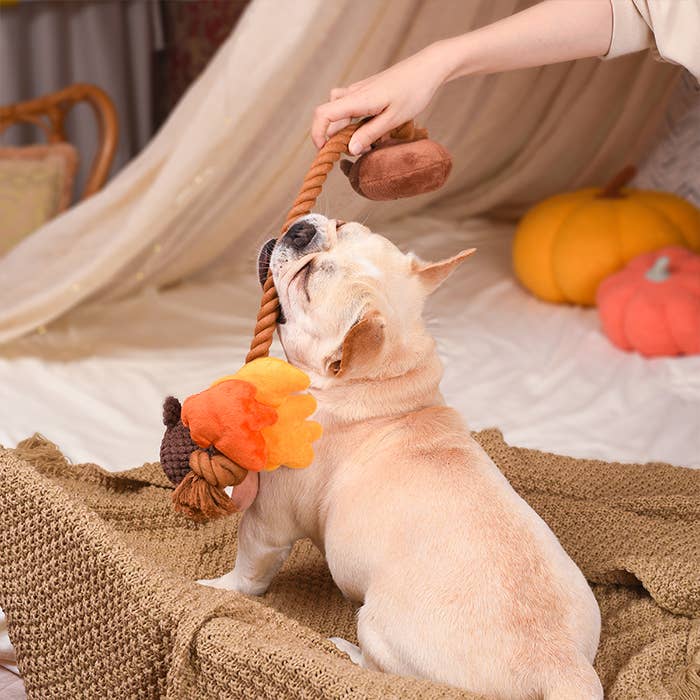 Hugsmart Products Inc - HugSmart Pet - Autumn Tailz  | Autumn Acorn - Dog Rope Toy