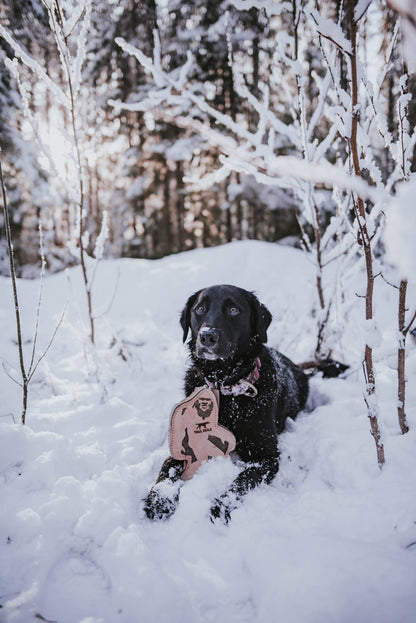 Tall Tails - Tall Tails Natural Leather & Wool Big Jr. - 9"