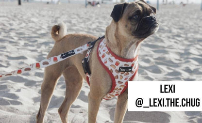Mina + Pup - Drive-In Diner Comfort Leash