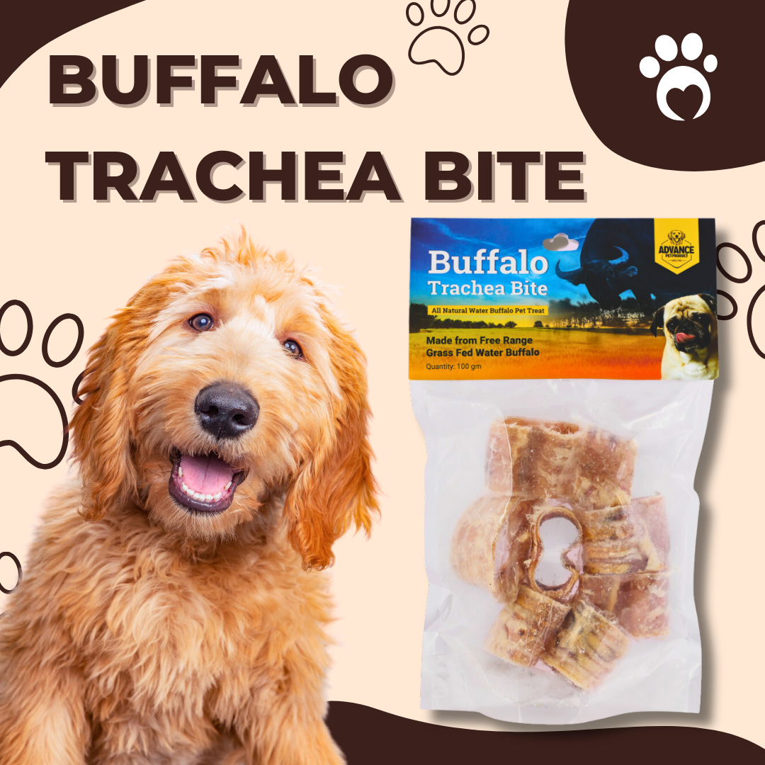 Bulk Bin Treats- Water Buffalo Trachea Bite - 2oz