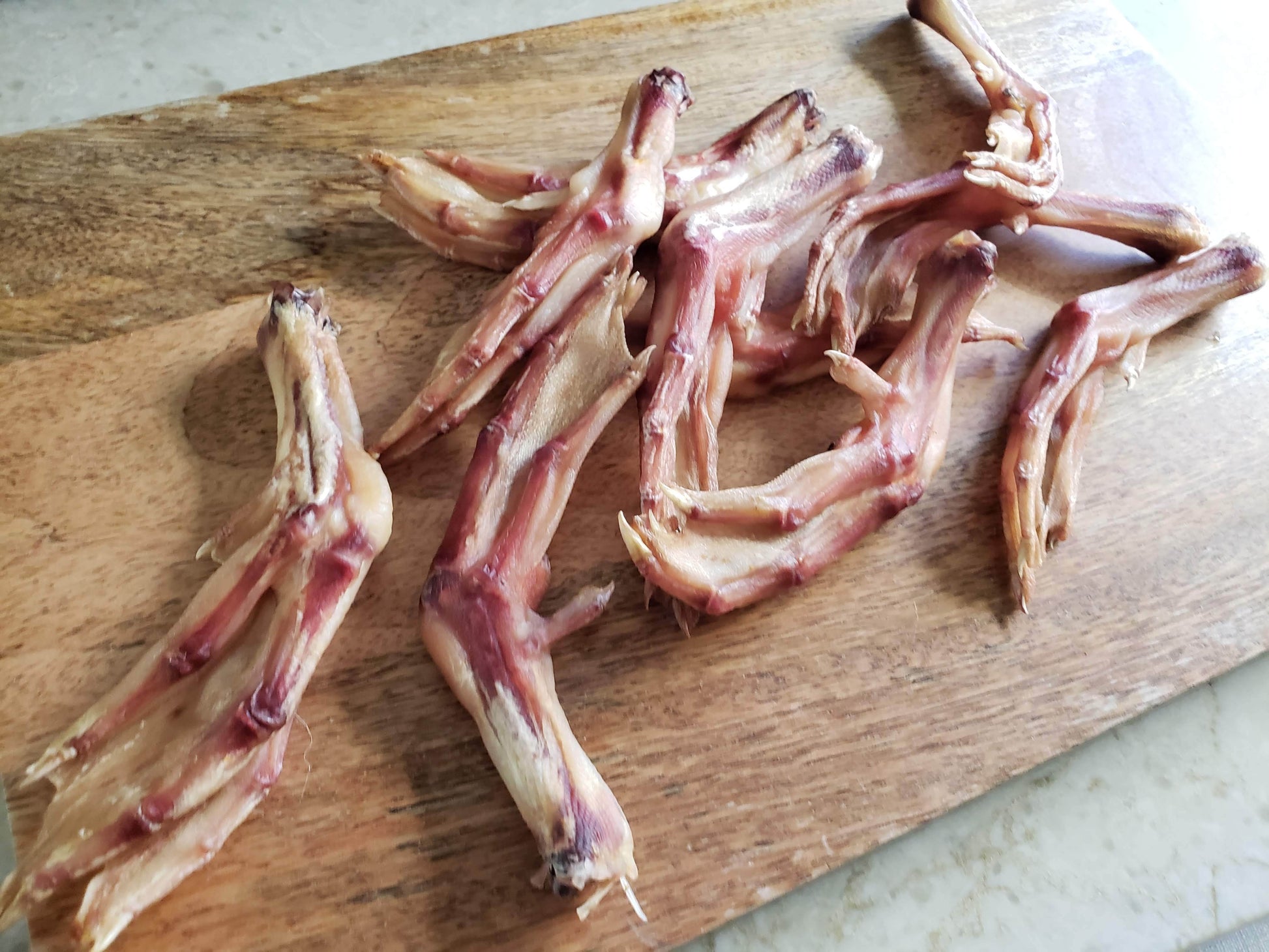 Duck Feet (ABF) - Doot's Pet LLC Collars For A Cause