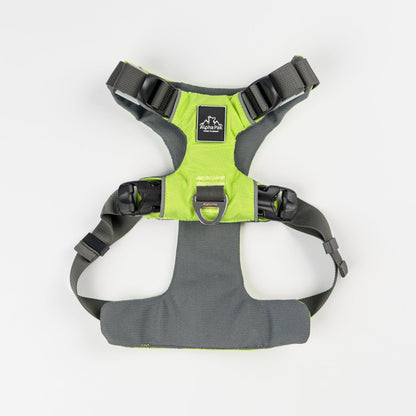 Everyday Adventure Dog Harness