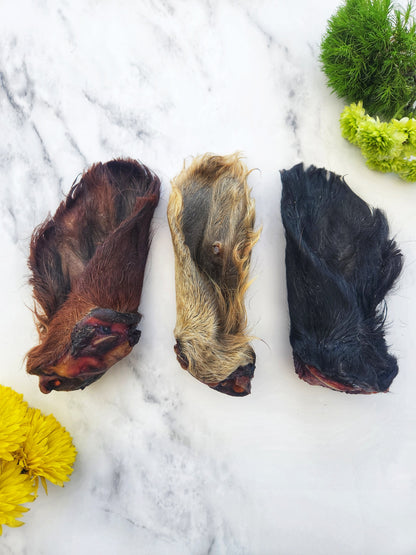Dehydrated Beef Ear with Hair for Cats & Dogs — All-Natural | Raw Instincts Florida - Doot's Pet LLC Collars For A Cause