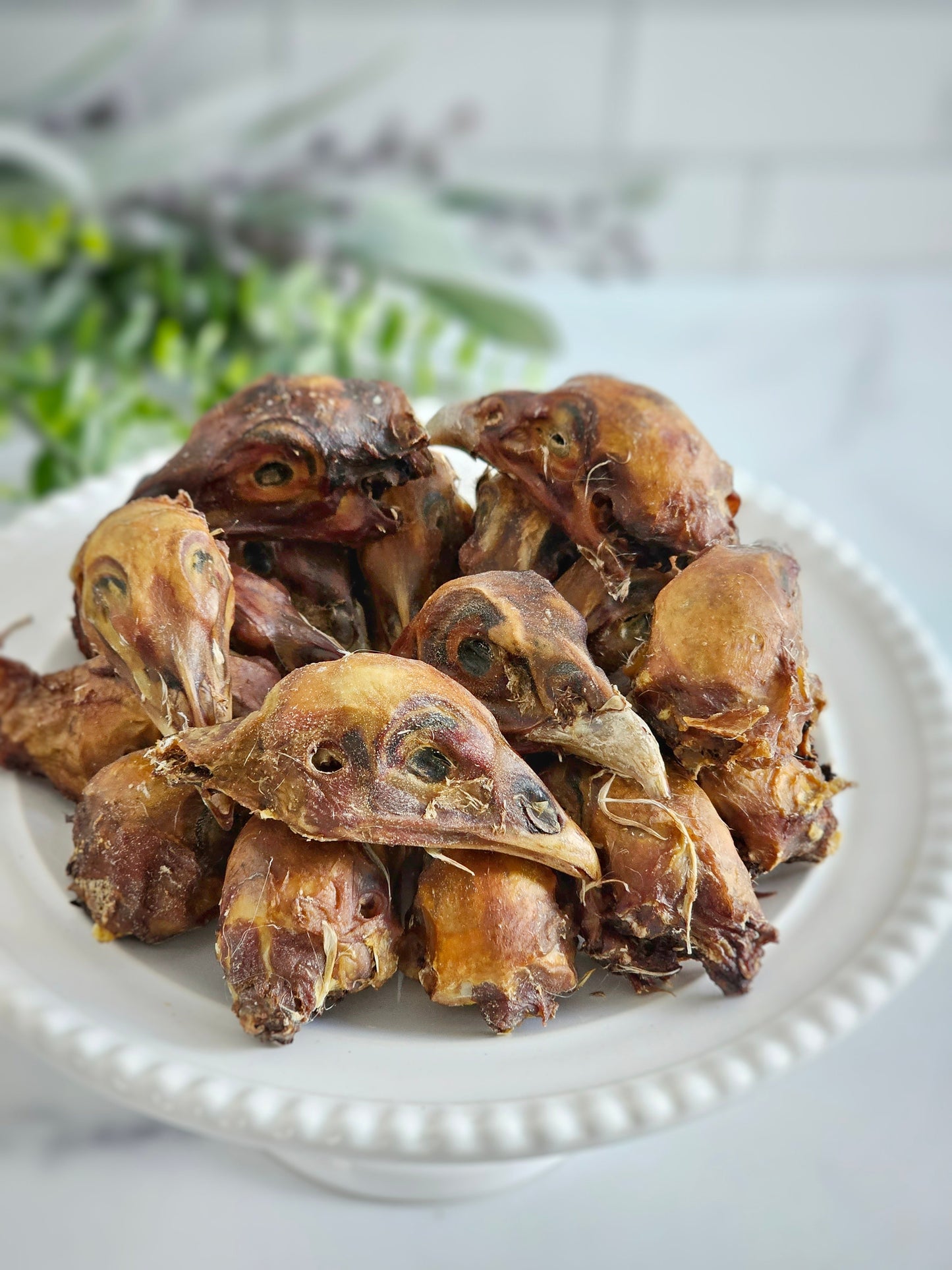 Pheasant Heads - Doot's Pet LLC Collars For A Cause