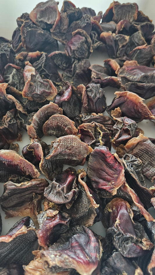 Dehydrated Turkey Gizzards for Cats & Dogs — 100% Single Ingredient | Raw Instincts Florida